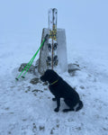 Mountain Safety