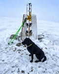 Mountain Safety