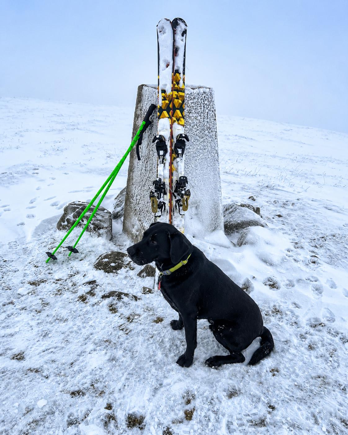 Mountain Safety